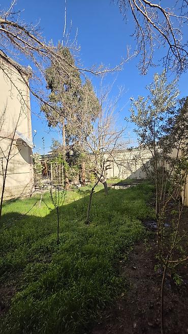 Həyət evləri və villaların satışı: 6 otaqlı, 450 kv. m — 12