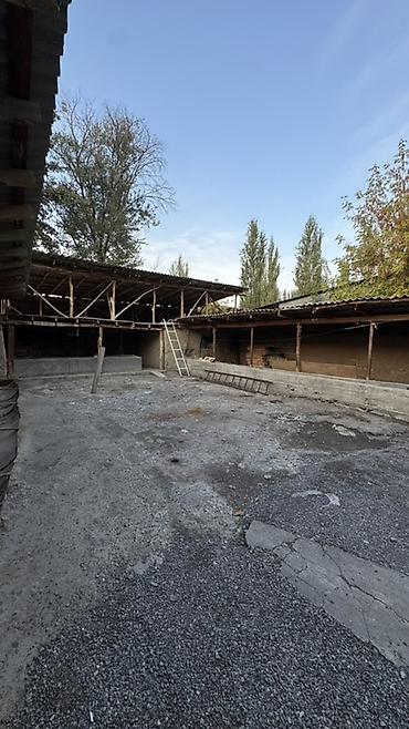 үй старый талчок: 🏡 ПРОДАЁТСЯ ДОМ С БОЛЬШИМ УЧАСТКОМ И ГОТОВЫМ ХОЗЯЙСТВОМ! 📍 Село — 8