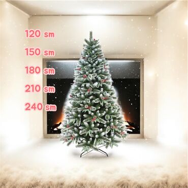 Yeni il ağacları: Yolkalar 60-300sm Hər qiymete var whatsappdan yazin olcusun ve — 5