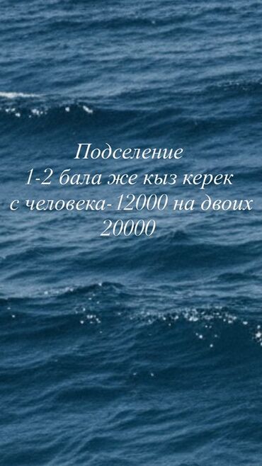 Долгосрочная аренда комнат: Подселение в квартиру/комнату. Квартира в центре города. Свободна