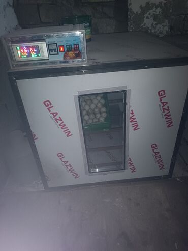 İnkubatorlar: 600 yumurta, Azərbaycan, Tam avtomat