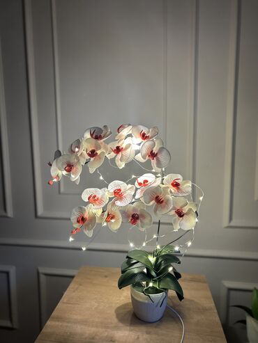 светильник ручной работы: Орхидея светильник 😍, ручная работа в наличии и на заказ👍 цены от 1500
