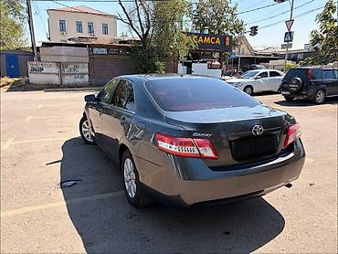 camri: Toyota Camry: 2009 г. — 2