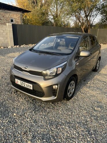 купить бампер хонда аккорд 7: Kia Picanto: 2019 г., 1 л, Автомат, Бензин, Хэтчбэк