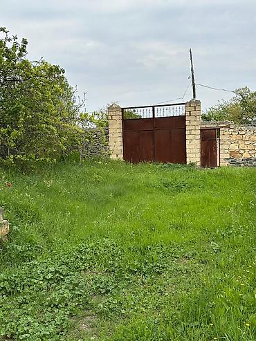 kirov qesebesi: 32 sot, Tikinti, Mülkiyyətçi, Kupça (Çıxarış) — 4