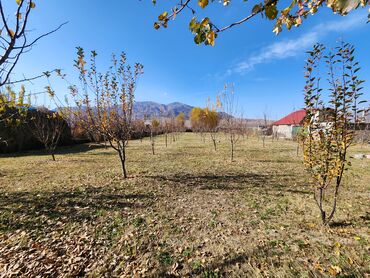 Продажа участков: 25 соток, Для строительства, Красная книга at lalafo.kg — 9 Продажа участков: 25 соток, Для строительства, Красная книга — 9