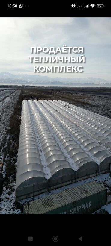 Теплицы: Теплица, предназначенная для выращивания различных — 16