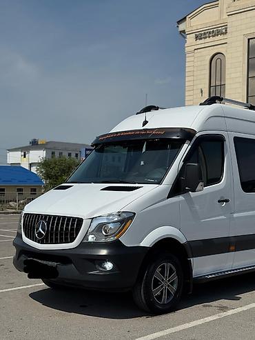 Автобусы и маршрутки: Автобус, Setra, 2020 г. — 14