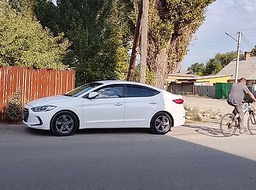 jeep compas: Hyundai Elantra: 2017 г., 1.6 л, Автомат, Бензин, Седан — 2