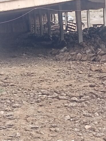 Сельхоз предприятия: Крупный сельскохозяйственный объект для содержания скота Описание: - — 5