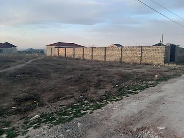 Torpaq: 6 sot, Kənd təsərrüfatı, Mülkiyyətçi, Kupça (Çıxarış) — 4