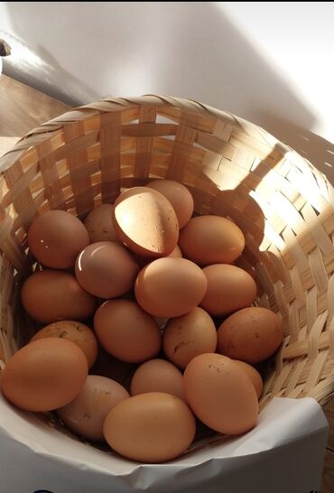 Yumurta: Ev yumurtasi mayali yumurtalardir.yaxsi sortdur.0.25