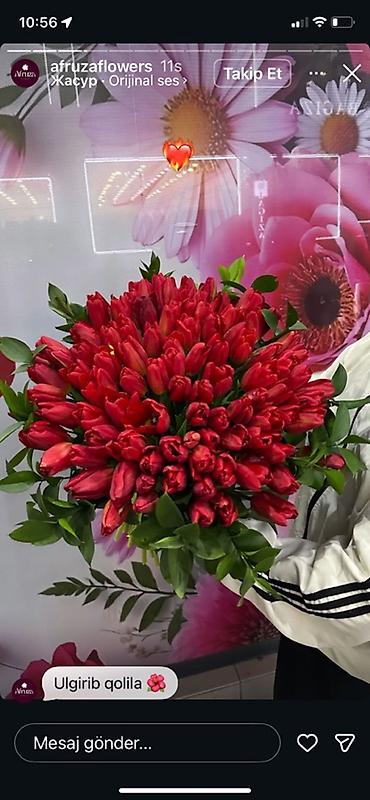 Букеты из живых цветов: Оптом и розницыбукеты тюльпанов - Состав: свежесрезанные тюльпаны — 10