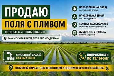 сан уйлар: 200 соток, Для сельского хозяйства — 1