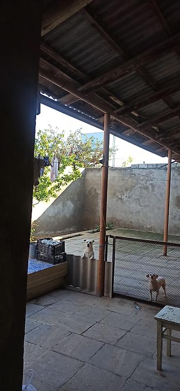 Həyət evləri və villaların satışı: 3 otaqlı, 200 kv. m, Kredit yoxdur, Təmirsiz — 12
