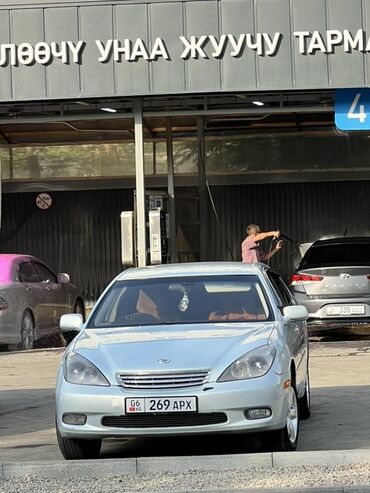 продаю ниссан альмера: Toyota Windom: 2001 г., 3 л, Автомат, Газ, Седан