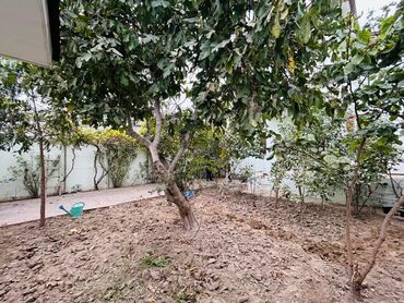 Həyət evləri və villaların satışı: Satılır: həyətli iki mərtəbəli fərdi ev Ünvan təsviri: Şəhər daxili — 23