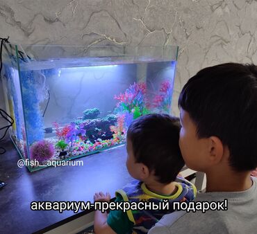Рыбы: Аквариум-прекрасный подарок и детям и взрослым! Ваш собственный живой