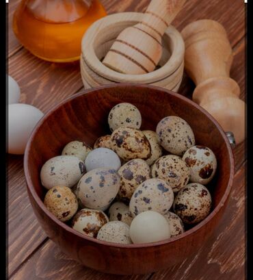 страусиное яйцо бишкек цена: Продаю перепелиные яйцо домашние по 6сом