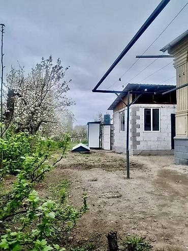 Дома: Прекрасная возможность для жизни у озера Иссы-куль! Представляем — 10