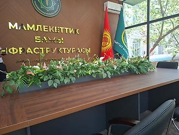 Декоративные цветы: 🌿 Mayram Decor KG — искусственные деревья, цветы и зелёные композиции — 7