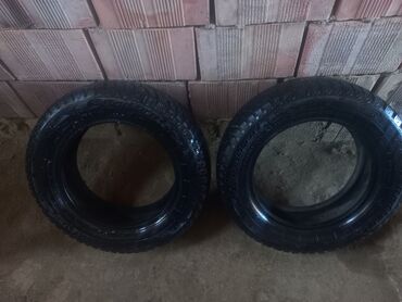 215 75 16 c: Yeni Şin Cordiant 175 / 65 / R 14