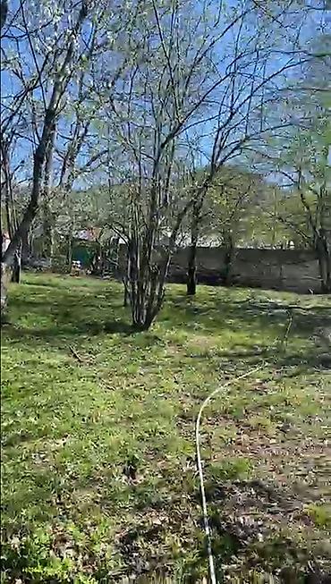 nesimi rayonunda satilan heyet evleri: 2 sot, Tikinti, Mülkiyyətçi, Kupça (Çıxarış) — 3