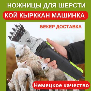 куплю машинку для стрижки овец: Кой кырккан машинка🐏 Бир кундо 60-90 кой кыркса болот ысып кетпейт