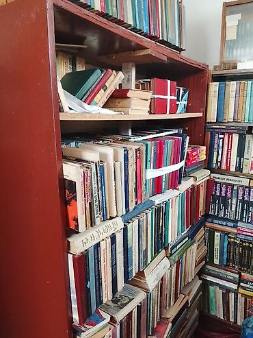 языки: Большая домашняя библиотека — подборка книг на русском языке — 5