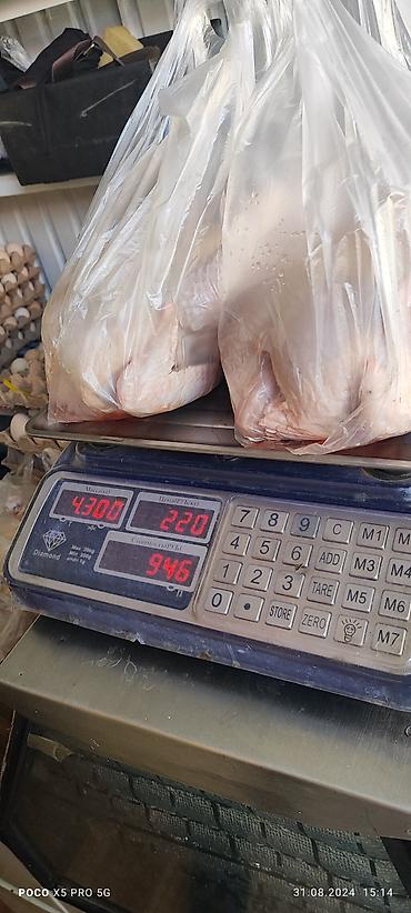 куплю куры: Тоок эти 
мясо броллер 
250 кг Домашний — 3