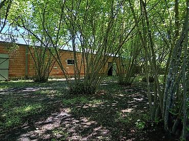 Kommersiya daşınmaz əmlakının satışı: Satılık təsərrüfat/istehsalat obyekti - Geniş qapalı istehsal/saxlama — 5