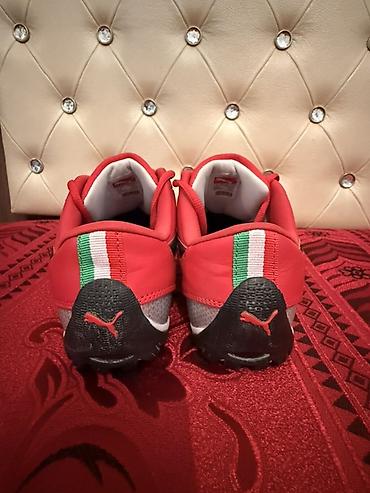 qırmızı vinston: Orijinal Puma Ferrari SportLifestyle Ölçü: EU 41 Vəziyyəti çox — 2