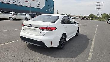 toyata levin: Toyota Levin: 2023 г., 1.8 л, Вариатор, Гибрид, Седан — 6