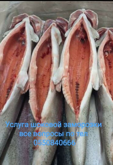 риелторские услуги: Услуги шоковой заморозки, 
1 кг 60 сом рыба, ягода