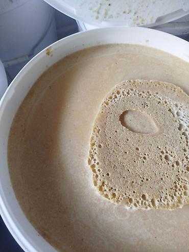 Мёд: Мёд Тюп и Каркара 20 тон анализ на антибиотик и пестициды прошел стоит — 7