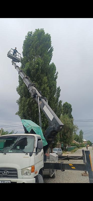 put up: Услуги автовышки 28 м - Телескопическая автовышка на базе Hyundai — 4