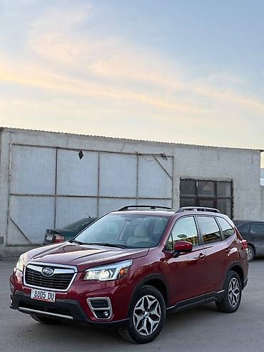 Subaru: Subaru Forester: 2020 г., 2.5 л, Вариатор, Бензин, Кроссовер — 3