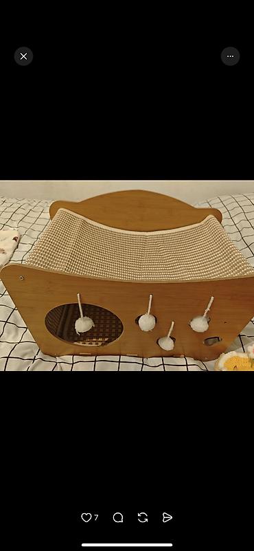 Продажа кошек: Скотиш Фолд (Шотландская вислоухая), 2 месяца, Девочка, Серый, Приучена к лотку, Проглистована, С документами — 11