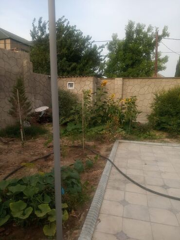 sarayda kiraye: 75 kv. m, 2 otaqlı, Qaz, İşıq, Su