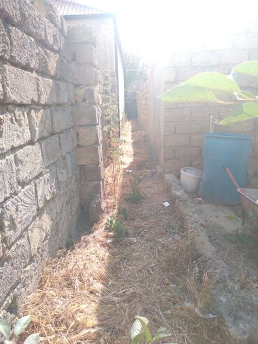 Torpaq sahələrinin satışı: 2 sot, Maklerlər narahat etməsin, Bələdiyyə — 18