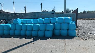 продаю овес: СИЛОС С ЗЕРНОМ. ХОРОШЕГО КАЧЕСТВА. С ПОГРУЗКОЙ — 2