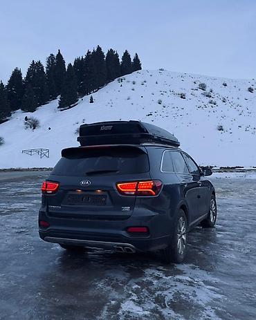 Kia: Kia Sorento: 2019 г., Кроссовер — 4