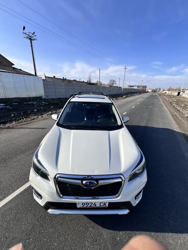 Subaru: Subaru Forester: 2019 г., Вариатор, Бензин, Кроссовер — 9