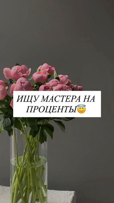 работа в интернете без вложений с ежедневной оплатой на карту: Кирпик чеберлери. Пайыз