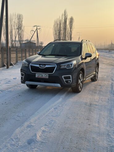 Subaru: Subaru Forester: 2020 г., 2.5 л, Вариатор, Бензин, Кроссовер