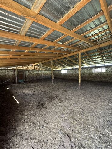 Продажа участков: 160 соток, Для сельского хозяйства, Красная книга, Тех паспорт — 5