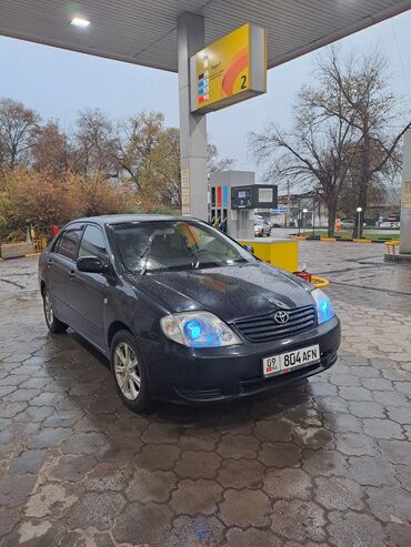 ангелский глаз: Toyota Corolla: 2003 г., 1.5 л, Автомат, Бензин, Седан