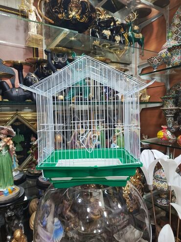 Qəfəslər: Təzə Qəfəslər 9azn boş qəfəslər Valnisti Tutuquşu Qəfəsi 9azn Amadin — 8