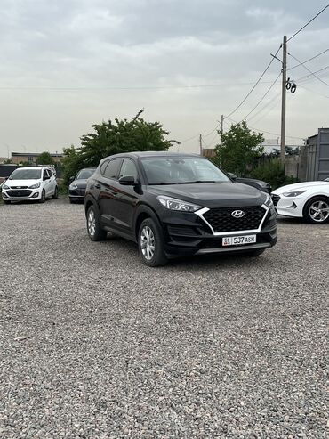 Kia: Hyundai Tucson: 2019 г., 1.6 л, Автомат, Дизель, Кроссовер
