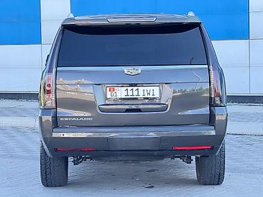 купить escalade: Cadillac Escalade: 2019 г., 6.2 л, Автомат, Бензин, Внедорожник — 9